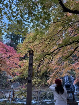 Hidden Gem! Stunning Scenic Spot!