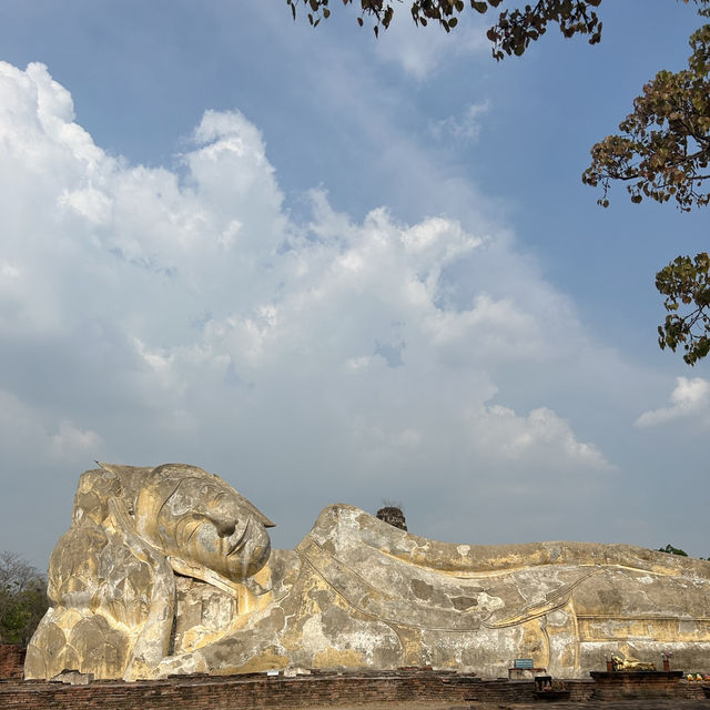 【アユタヤ🇹🇭】バンコクから90分！自然と歴史を感じる旅🌳