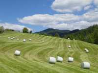 🏛️ Austrian Open-Air Museum Stübing: