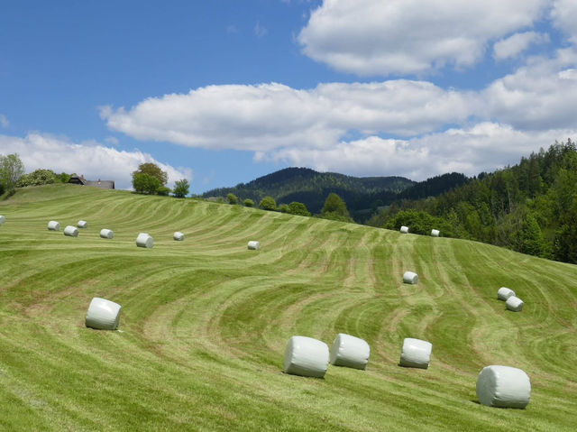 🏛️ Austrian Open-Air Museum Stübing: