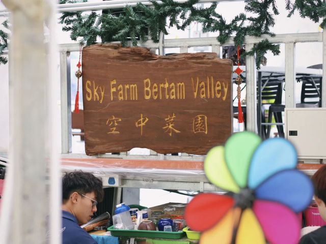 Hidden Gem in Cameron Highlands 🌿 | Sky Farm, Bertam Valley