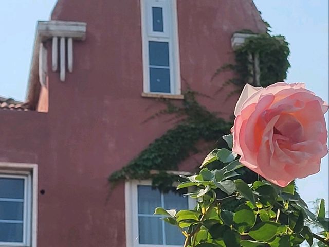 青島 在這 五月份 非常知多薔薇花的玫瑰花 在老婆 是一個非常歐洲化的 地方 雖然 處於中國內 但在這裏旅遊 竟然分不清自己 是否在歐洲呢 亦有非常知多的 海鮮 海產非常豐富 景點 有嶗山 山形非常漂