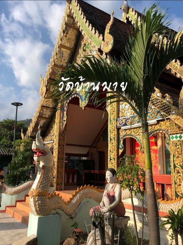 Wat Ban Mai วัดบ้านมาย สถานที่ดูดวงแม่นๆ