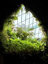 Cloud Forest — A Cool Summer Escape in Singapore’s Urban Jungle