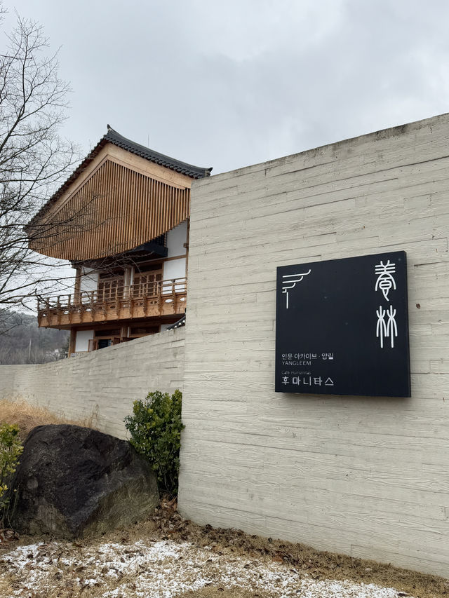 책과 커피 사이, 청주에서 만난 고요한 시간 📚☕