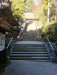 Tokushima