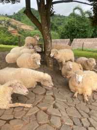 Akha Farmville