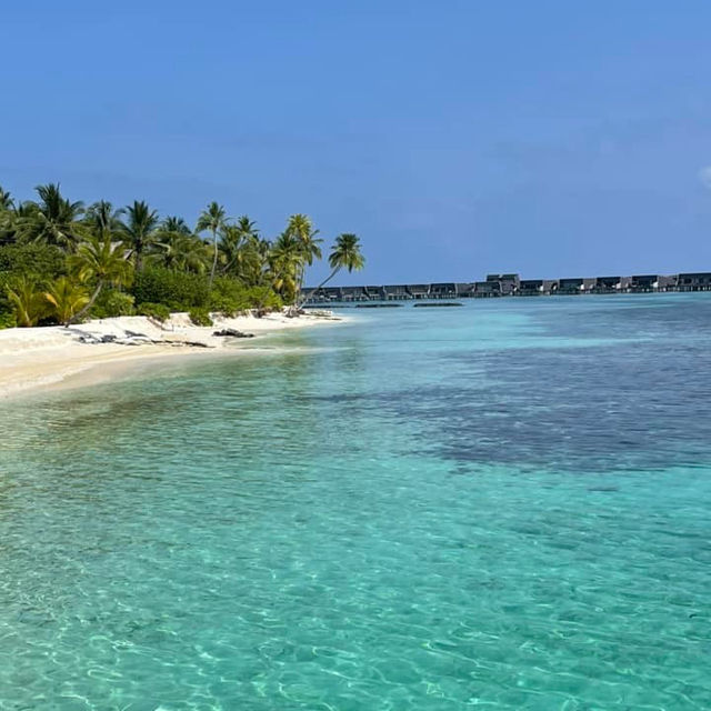 Unparalleled Elegance: A Dream Escape at St. Regis Maldives