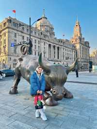 วัวกระทิง (The Bund)
