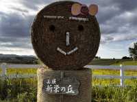 北海道・美瑛の丘で深呼吸。新栄の丘から望む絶景に癒やされて