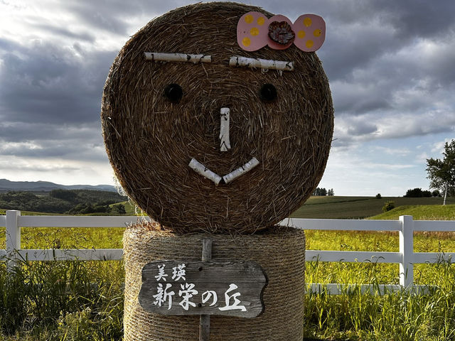 北海道・美瑛の丘で深呼吸。新栄の丘から望む絶景に癒やされて