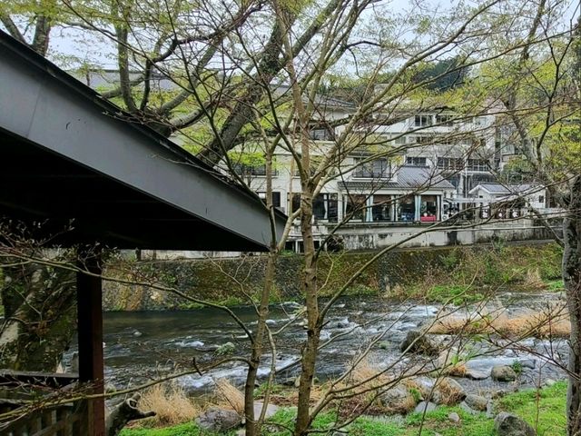 SUZU の森café (도치기현 나스시오바라시 시오바라온천)