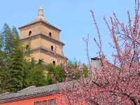 🇨🇳 เจดีย์ห่านป่าใหญ่ (Giant Wild Goose Pagoda)