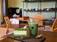 Camellia Matcha Space