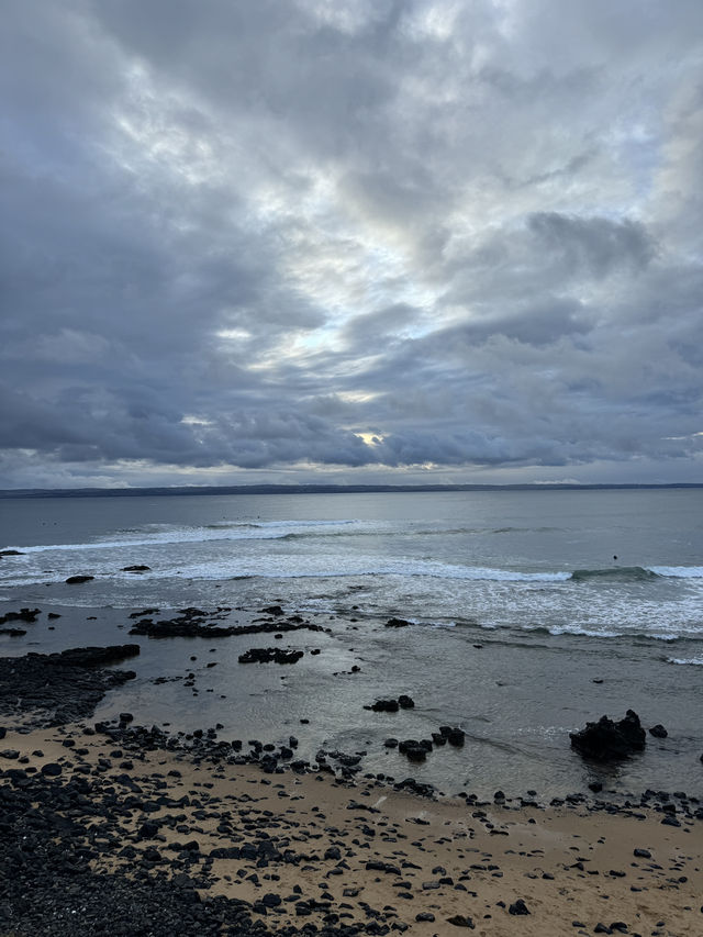 🇳🇿✈️ The Nobbies" refers to a captivating natural area 🌊🐟