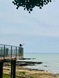 A Peaceful Escape at Tanjung Batu Beach, Bintulu