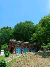 봄바람 속 고즈넉 데이트, 함안 장춘사 🌸