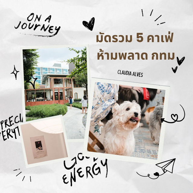 มัดรวม 5 คาเฟ่เก๋ในกรุงเทพ สายคาเฟ่ห้ามพลาด!