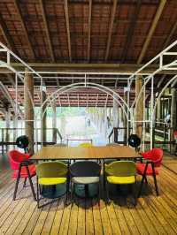 Pineyard: Where Pasta Meets Nature 