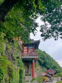 Forest Paths, Temple Vibes, and Total Peace Mode**