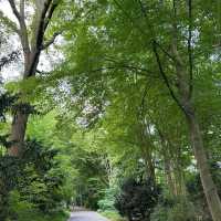 Tiergarten – Berlin, Germany