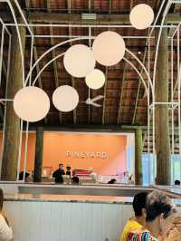 Pineyard Café — A Hidden Forest Dining Experience 