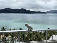 Hamilton Island trip: escape from the winter time