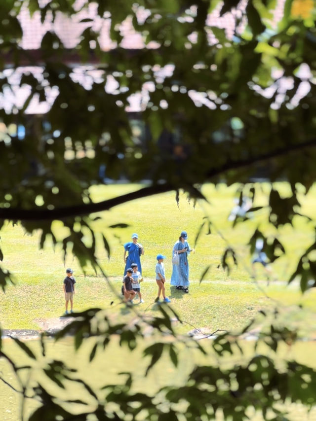 A Cool Escape: From KL Heat to Pineyard Breeze
