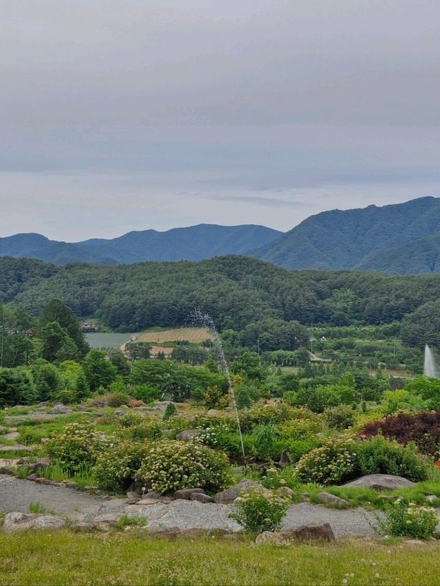 시원할 때 가기 좋은 국립백두대간 수목원🌳