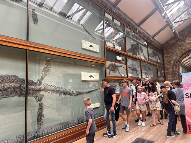 【ロンドン自然史博物館｜無料で恐竜と地球の謎に触れる！圧巻の博物館体験】