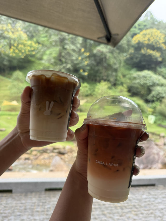 รีวิวร้านอาหารและคาเฟ่ในเชียงใหม่🍃🌿