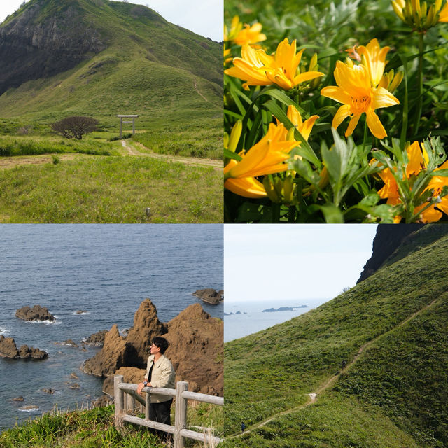 Onogame จุดชมวิวริมทะเล บน เกาะซาโดะ ⛰️🌼🇯🇵