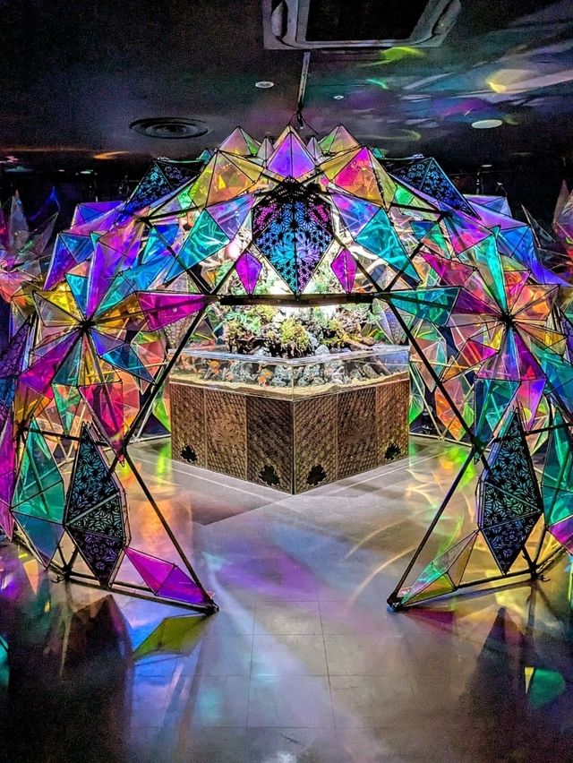 奈良 | 金魚博物館，奈良華麗的金魚祭典