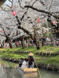 縁結びの聖地「川越氷川神社」で心ときめく旅を