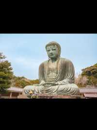 🧘‍♂️静寂と歴史が息づく「鎌倉大仏」で心整うひととき