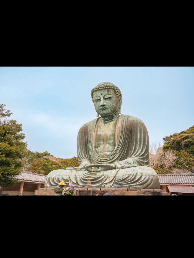 🧘‍♂️静寂と歴史が息づく「鎌倉大仏」で心整うひととき