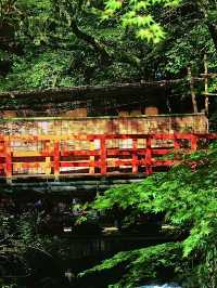 โอซาก้า🇯🇵