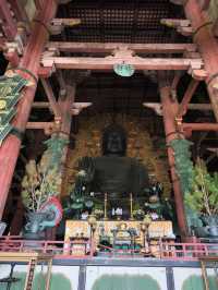 Nara park - must visit place in Japan