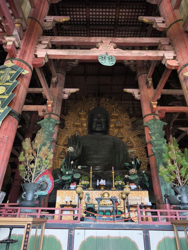 Nara park - must visit place in Japan