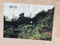 小豆島寒霞溪，日本自然景觀100選之一，十分美的地方！