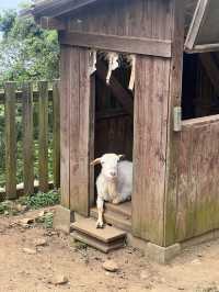 サクッと楽しめる能古島