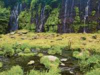 น้ำตก Shirato (Shiraito Falls / 白糸の滝) 