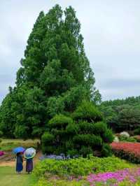 A Sweet Little Escape at Agape Garden