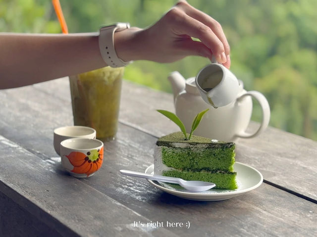 🌿☁️ “ไร่ชาลุงเดช” แม่แตง เชียงใหม่ 💚
