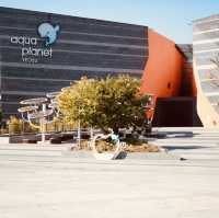 Aqua Planet Yeosu: An Immersive Journey into the Underwater World