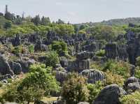 Must Visit - Magical Sone Forest Yunnan , UNESCO site 