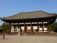 🛕 Peace and Presence at Kōfuku-ji, Nara