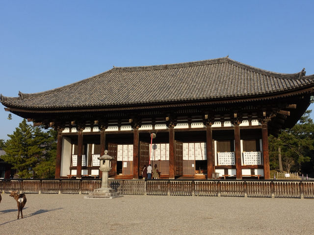 🛕 Peace and Presence at Kōfuku-ji, Nara