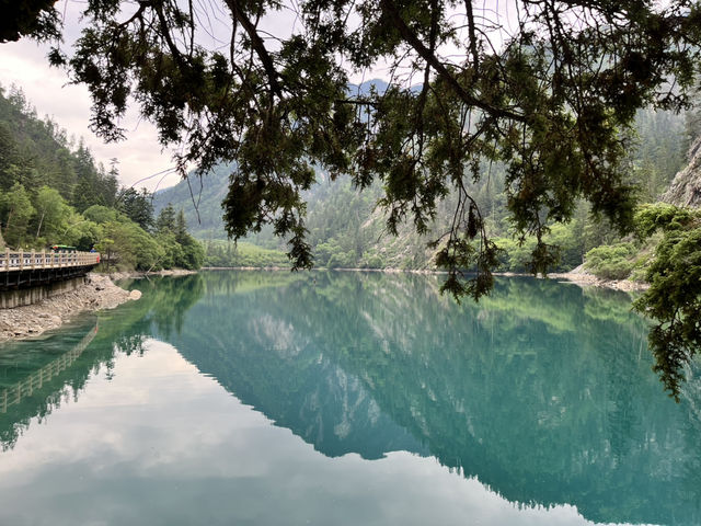 🏞️Epic Nature Combo: Huanglong + Jiuzhaigou Summer Adventure