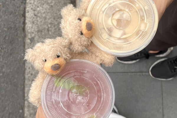 上海旅行中絶対行きたかったドリンクにクマちゃんがついてくる
